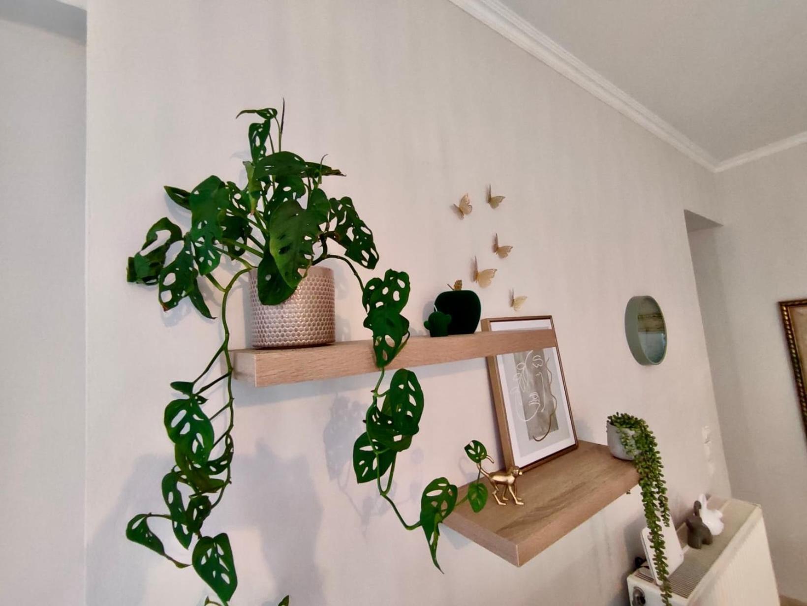 Tzitzifianaki Cozy Apartment Ханья Экстерьер фото